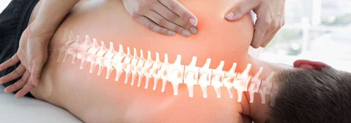 Spinal Health With Regular Chiropractic Visits In Mill Creek